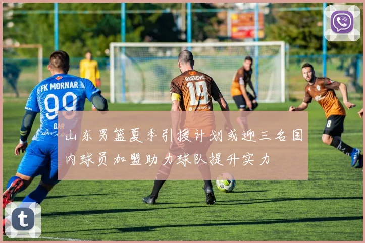 山东男篮夏季引援计划或迎三名国内球员加盟助力球队提升实力
