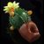 Glassheads “Succulent Cactus Planter” Spoon Pipe